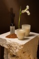 PTMD New Elements Oud Minerale