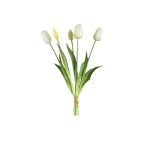 Białe tulipany PTMD