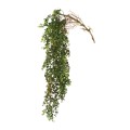 Gałązka wiszącego eukaliptusa PTMD