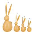 Brzoskwiniowy zając PTMD Zariah
