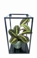 Kwietnik metalowy czarny 40 cm wiszący
