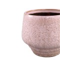 PTMD MERTY PINK