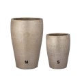 PTMD Mialee Champagne 2-rozmiary