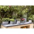 pottery pots novi set