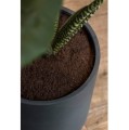 Pottery Pots Max black washed