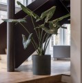 Pottery pots max black washed