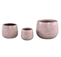 PTMD Ombre Pink