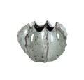 PTMD Collection Emmaa grey