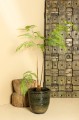 Brennen Green ceramic swirl pot PTMD