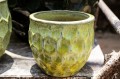 Donica ceramiczna Charlie Yellow PTMD.jpg