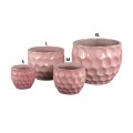 Donica Charlie Pink PTMD