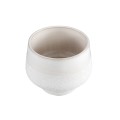 Mascy White PTMD