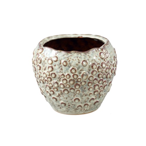 Avis Cream