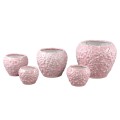 Avis pink PTMD