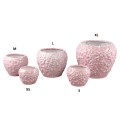 Avis pink PTMD