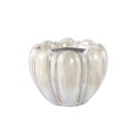 Dugan Cream PTMD