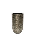 Adrija Champagne M