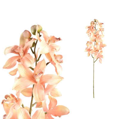 Kwiat orchidei Cymbidium PTMD