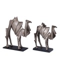 camels